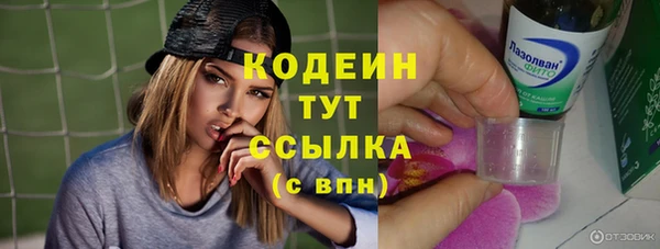 герыч Мегион