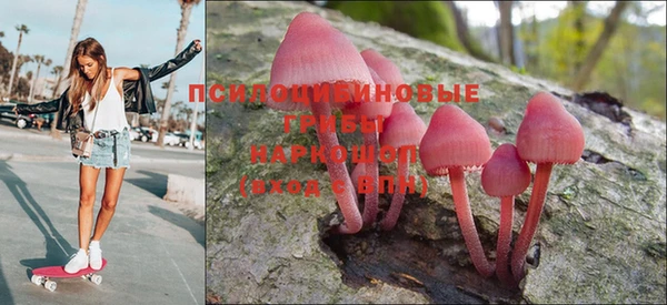 ALPHA PVP Магадан