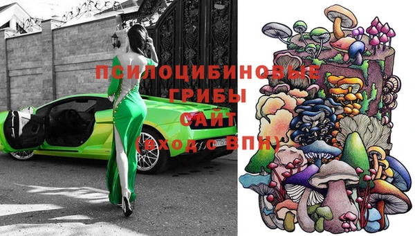 дживик Медвежьегорск