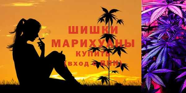 спиды Медногорск