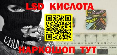 jwh Бийск