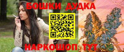 jwh Бийск
