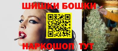 jwh Бийск