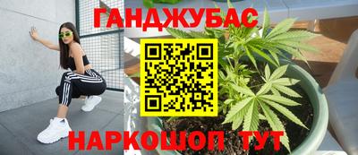 jwh Бийск