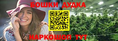 jwh Бийск