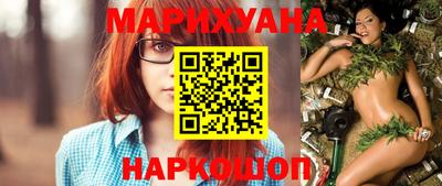 jwh Бийск