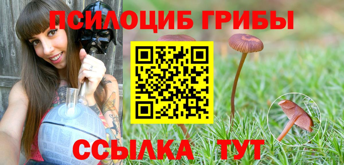 Псилоцибиновые грибы Cubensis Десногорск