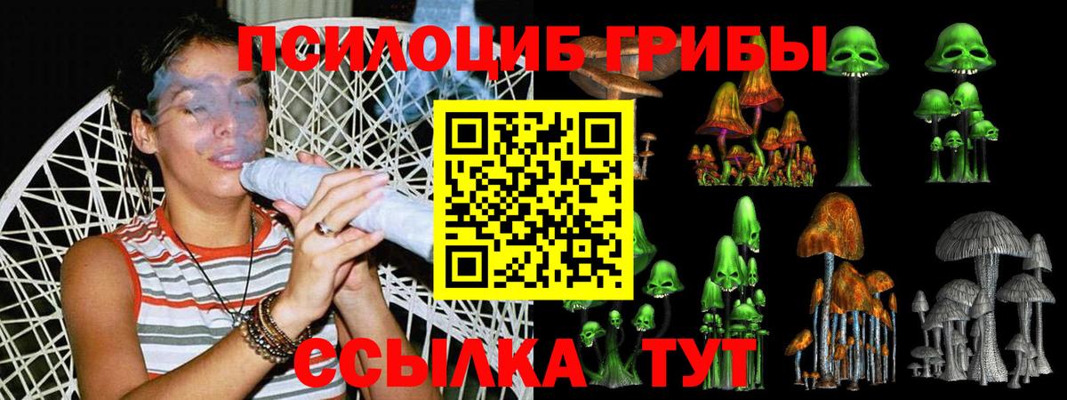 закладка  Вход с VPN  Псилоцибиновые грибы ЛСД  Десногорск  Галлюциногенные грибы Psilocybe 